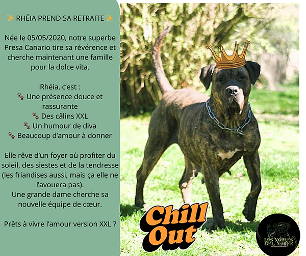 Votre texte de paragraphe.png