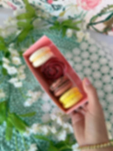 Macaron - 4 PK Rosette