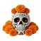 vecteezy_a-vibrant-sugar-skull-decorated-with-intricate-patterns-and_69079449 (1).png