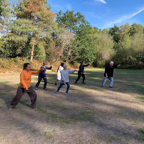 Revive Tai Chi - practicing Tai Chi in the Park