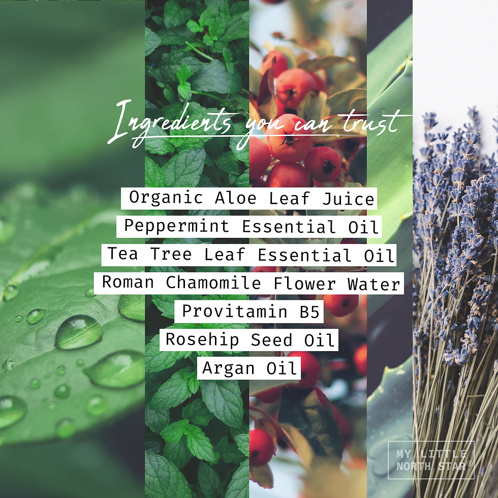 Thumbnail: Tea Tree Natural Hair Conditioner 70% Organic