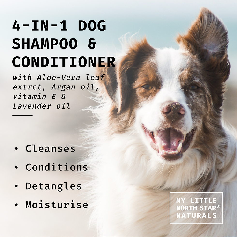 Thumbnail: Dog 4-in-1 Natural Shampoo + Conditioner 2 pack