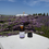 Thumbnail: Lavender Essential Oil (PRE-ORDER)