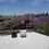 Thumbnail: Lavender Essential Oil (PRE-ORDER)