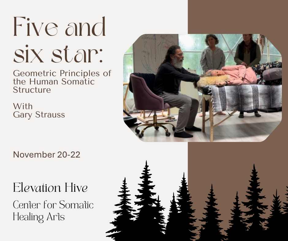 Five and Six Star with Gary Strauss ELEVATION HIVE in Olympia, WA