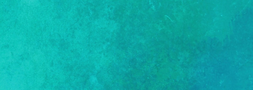 turquoise%2520background%2520Tracy%2520G