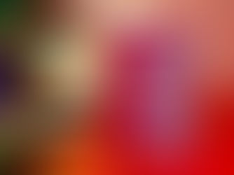 Joinville recebe a nova agência consular da Itália, Cidadania Italiana, será que agorà a fila anda?