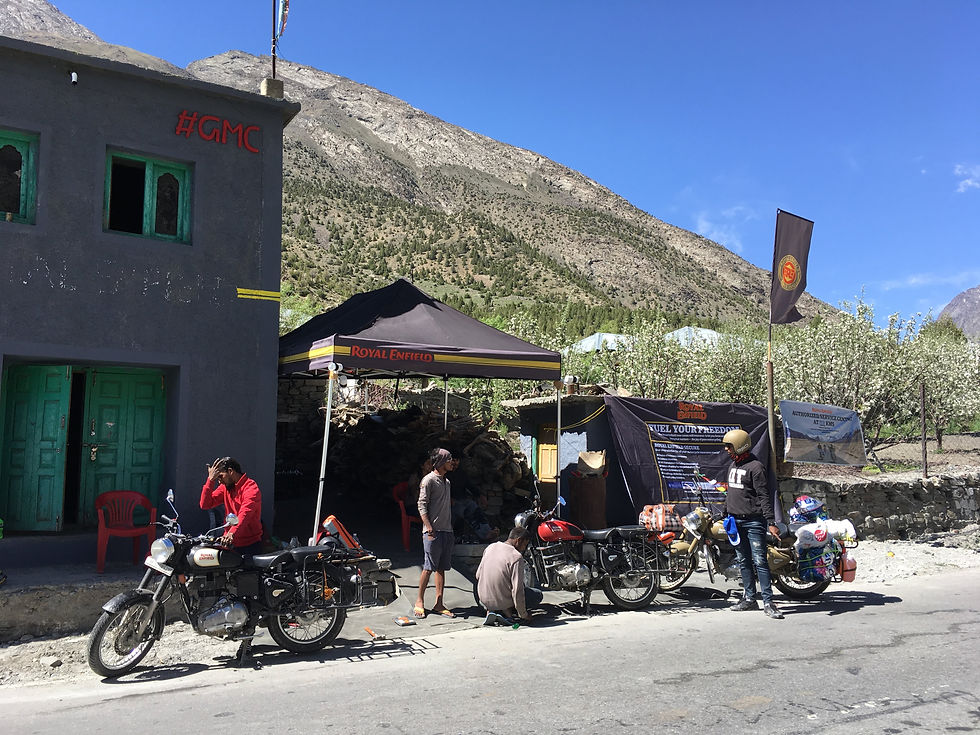 Mechanic inspecting bikes