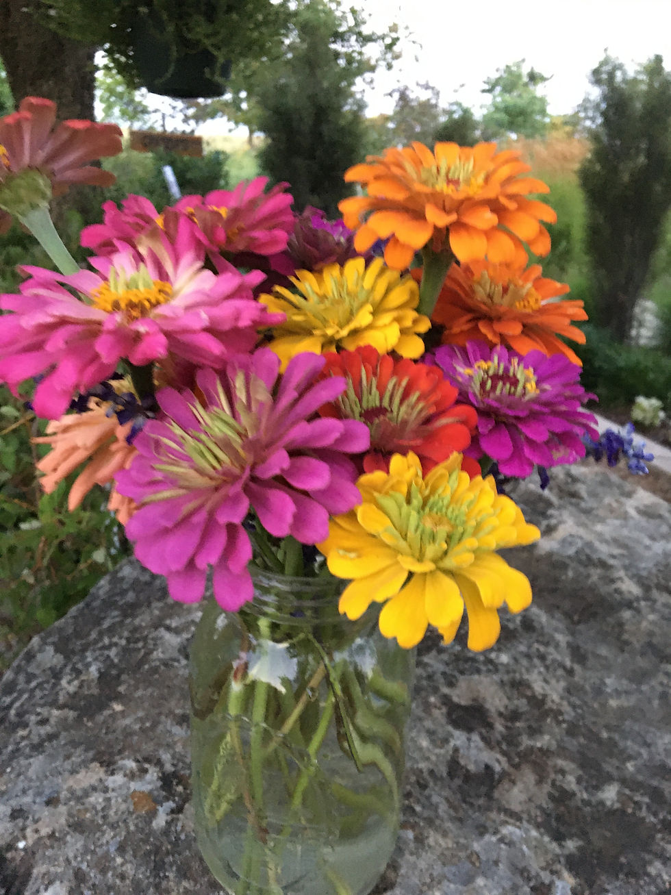 Thumbnail: Blooms and Brews @ College Hill Coffee