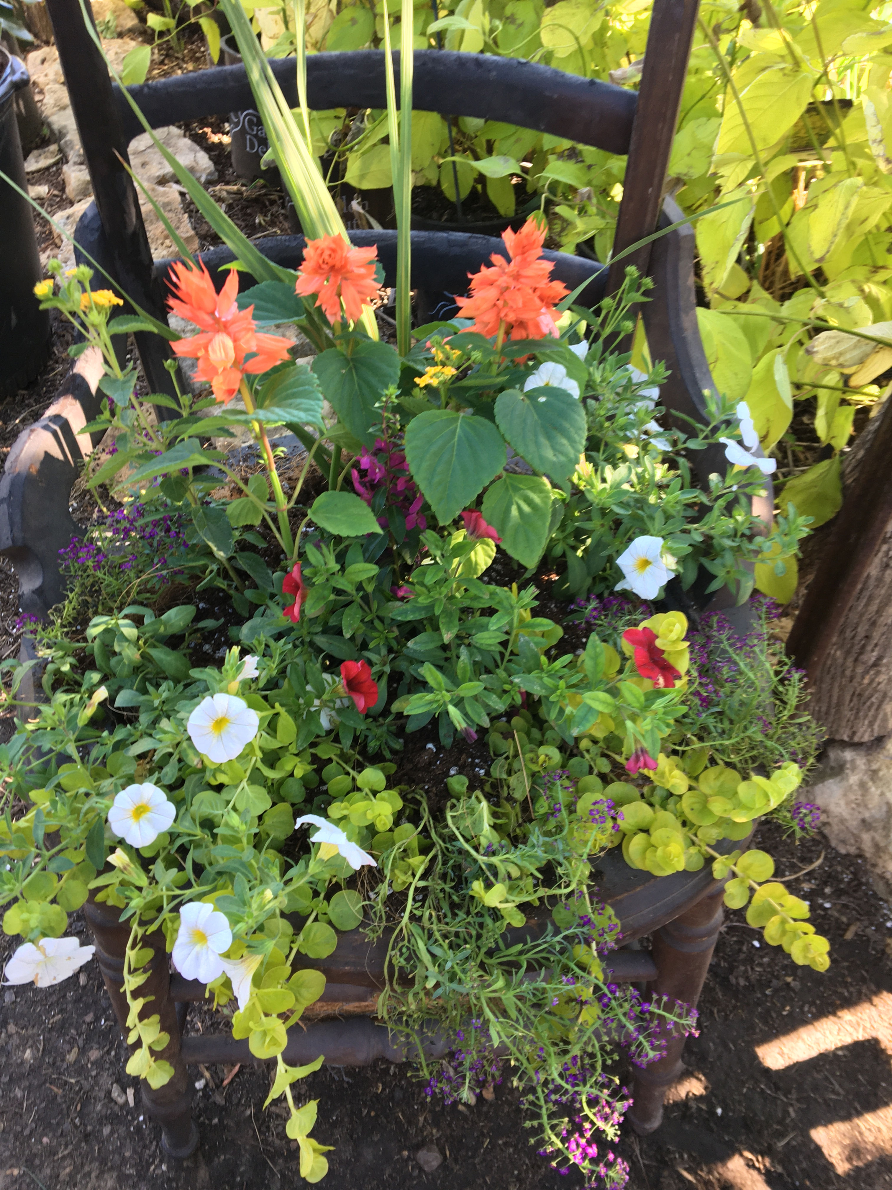 Round Wooden Chair Combo