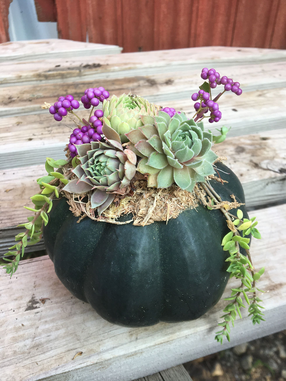 Thumbnail: Pumpkin Arrangement Class (September 28th)