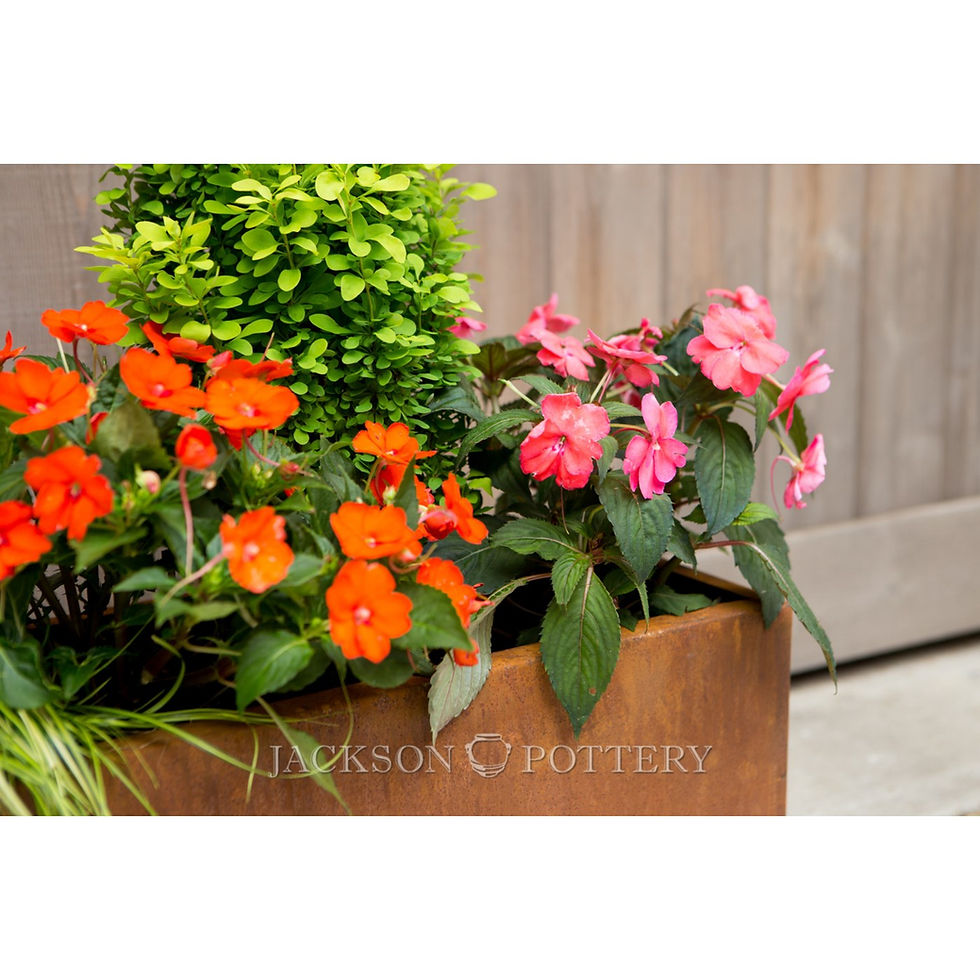 Thumbnail: Rectangle Rust Box Planters