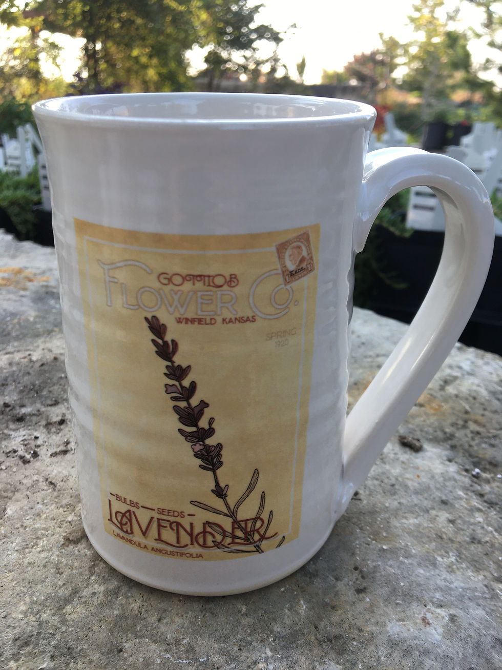 Thumbnail: Spring Floral Seed Packet Mugs