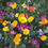 Thumbnail: Scatter Garden Seeds Colorful & Carefree Annual Wildflowers