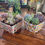 Thumbnail: Succulent Berry Basket Container Workshop