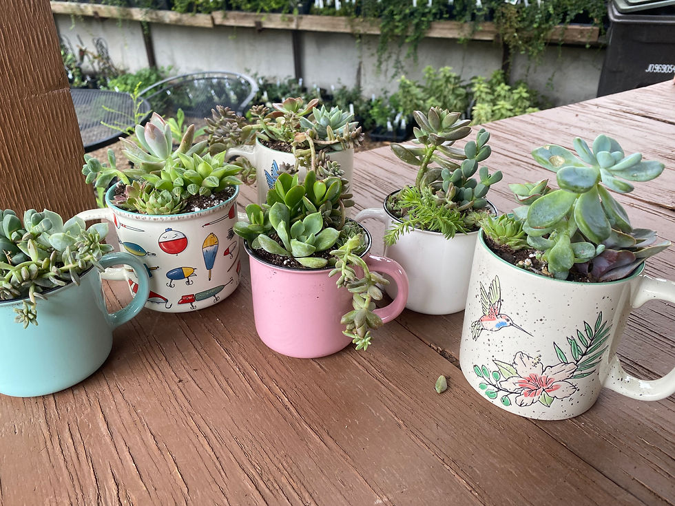 Thumbnail: Succulent Mugs & Coffee