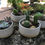 Thumbnail: 5" White Planter