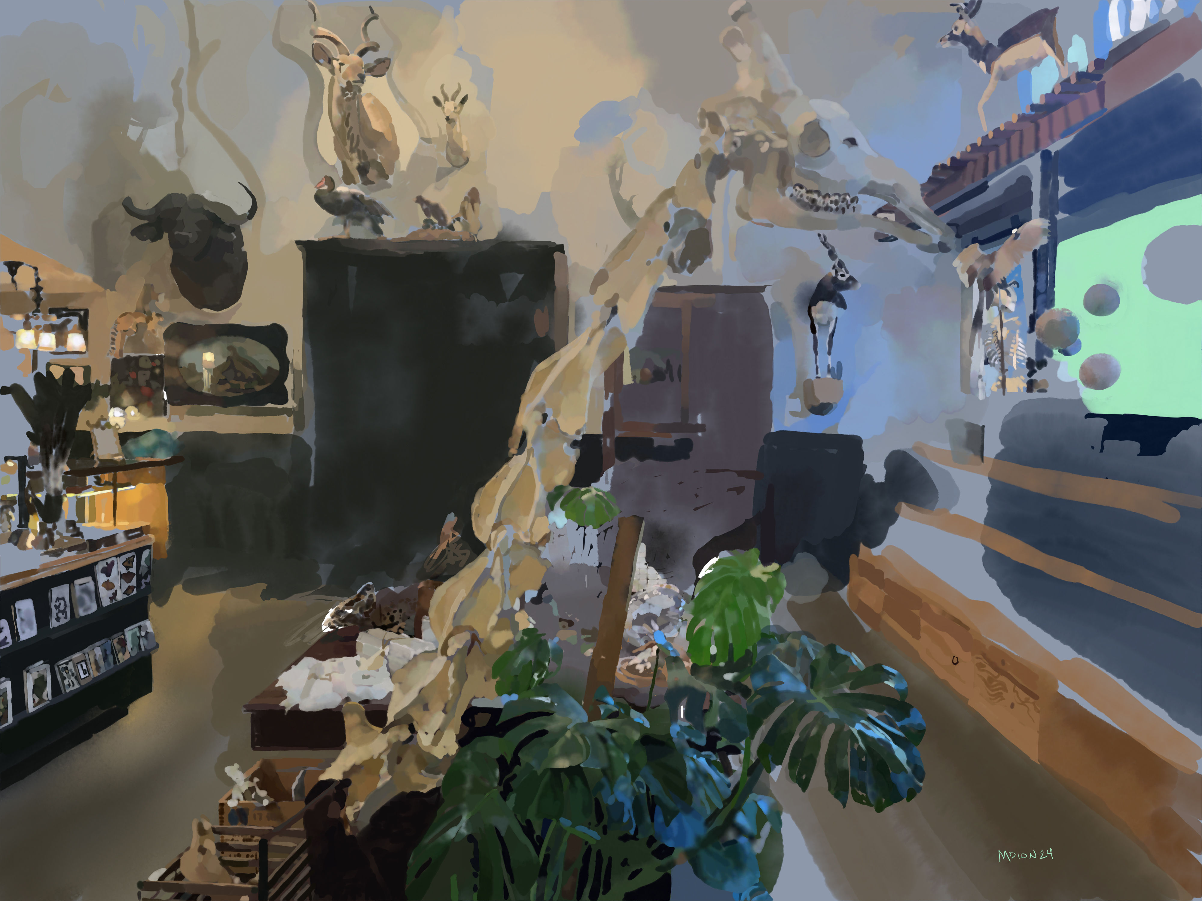 Curiosities Shop, 2024