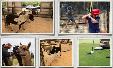 sports and farm.png