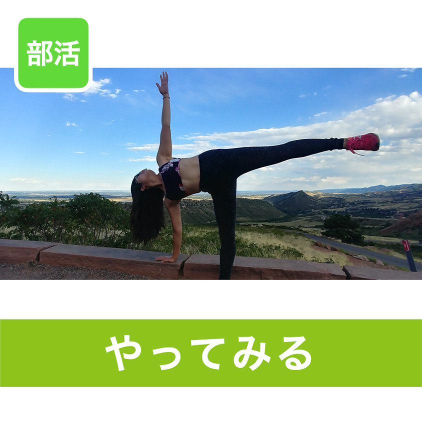 Yoga Sensei Boston-リラックスヨガ ~自分でできる身体のメンテナンス~