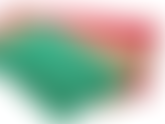 Indoor Door Mats for Hardwood Floors - Key Insights