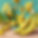 banana festival.jpg