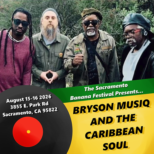 bryson musiq and the caribbean soul.png