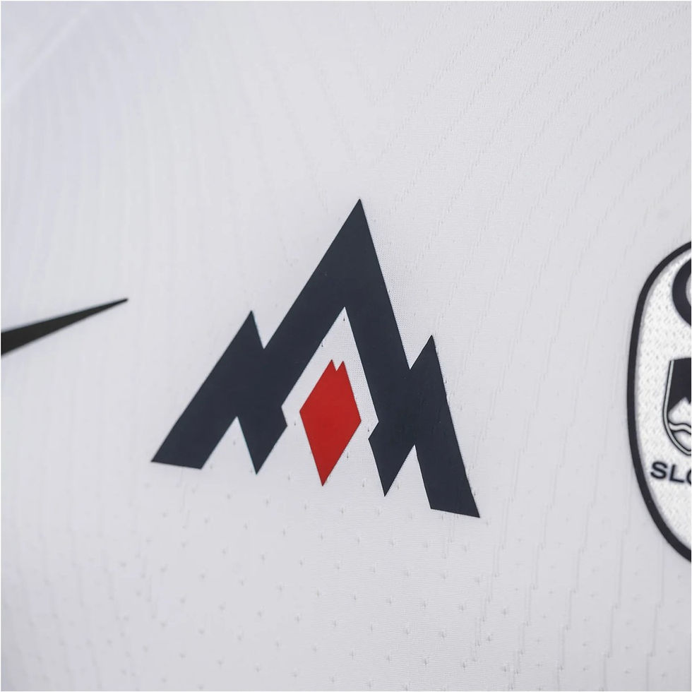 Miniatura: Slovenia Home 24/25 Jersey