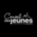 conseil des jeunes.png