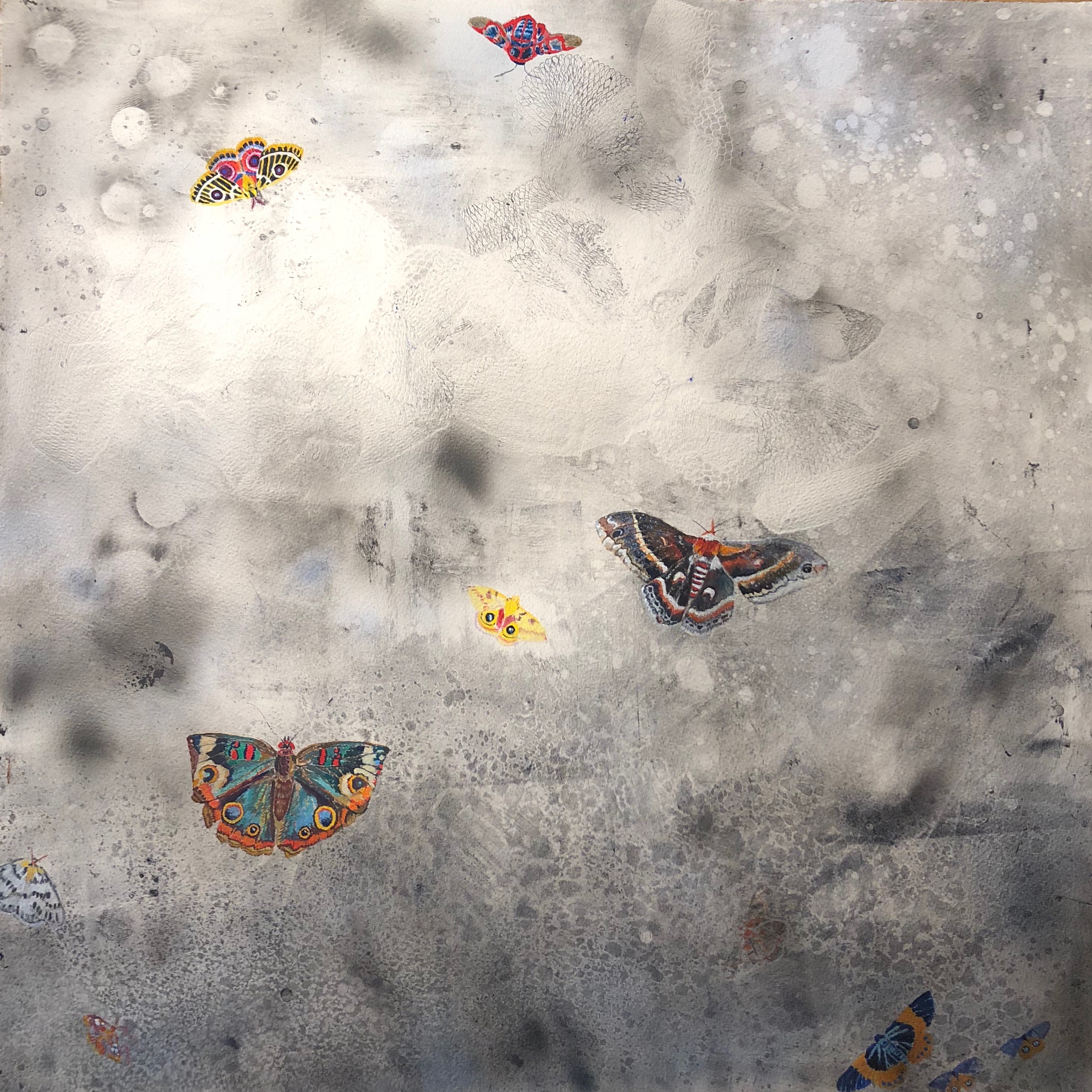 Moth 2