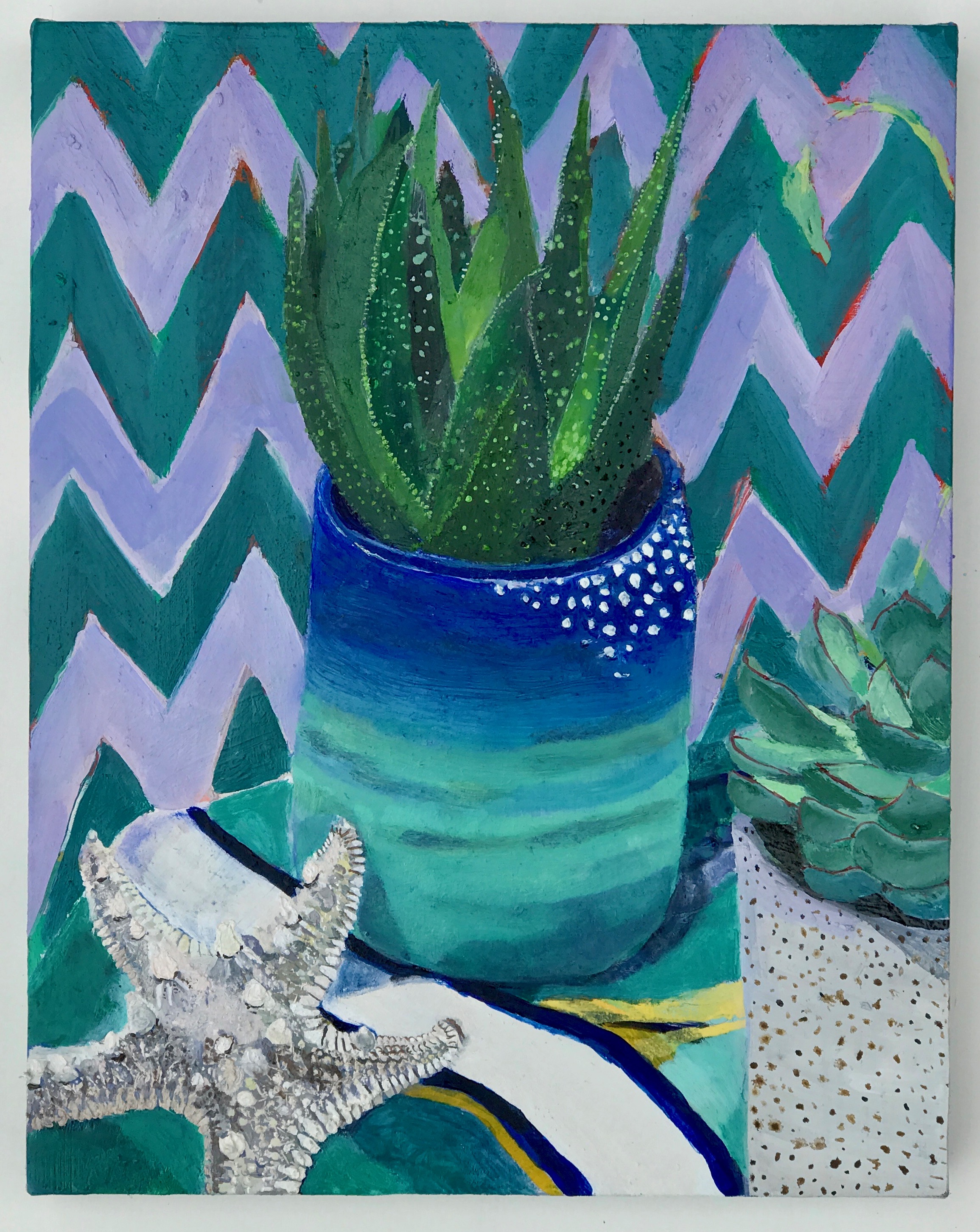 Succulents with Knobby Starfish
