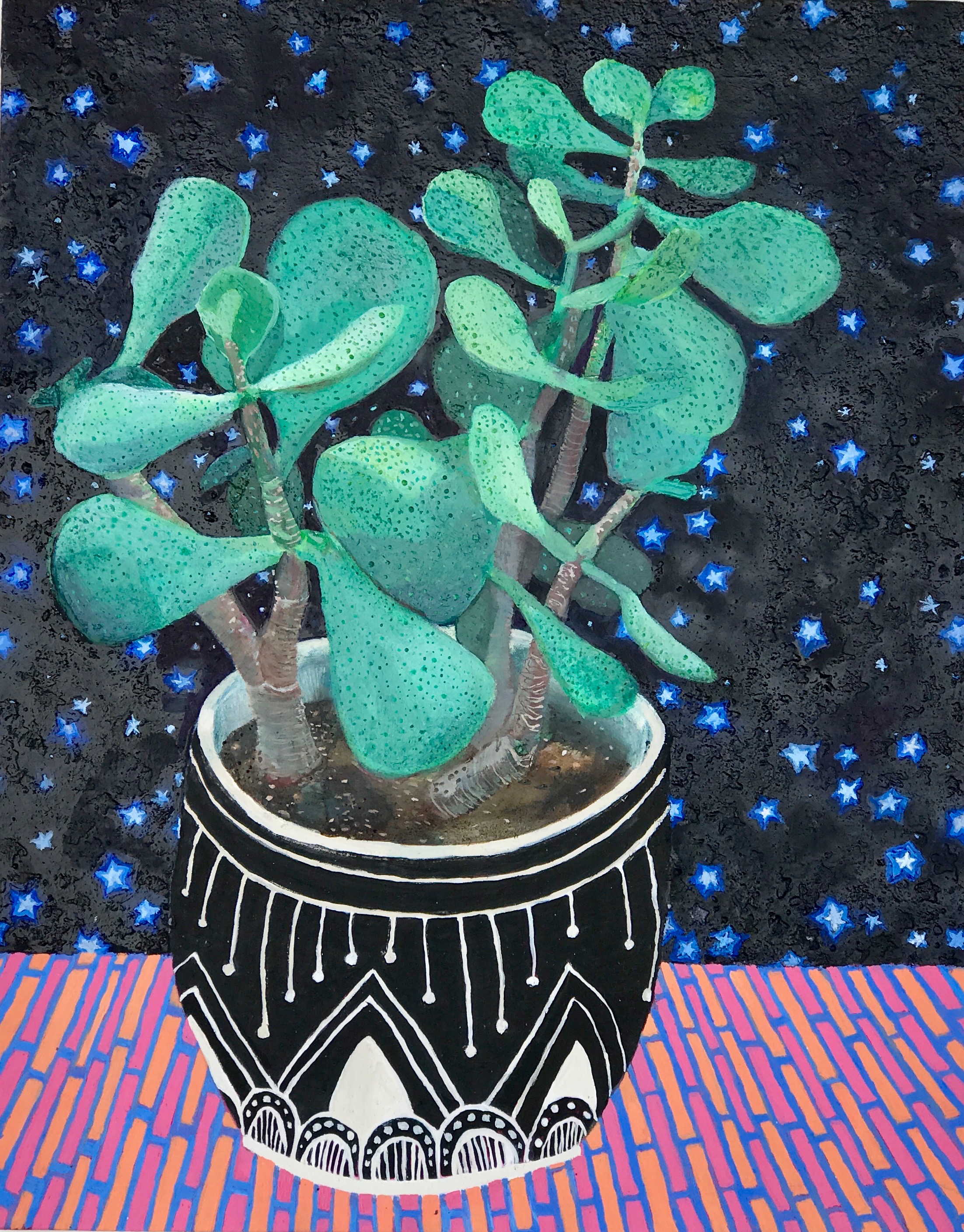 Wishing Upon the Money Plant