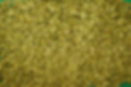 DSC00841.JPG
