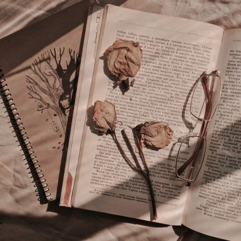 books for beginners