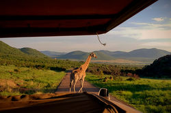 20190111_062000_edited_edited