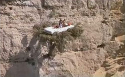 Sur un arbre perché