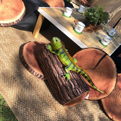 Bringing nature into the design