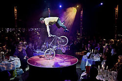 Freestyle bike show