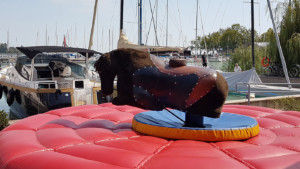 Rodeó ló kölcsönzés Dreams & Games