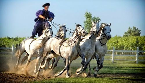 Indexkép: GASZTRO ÉLMÉNYBIRTOK