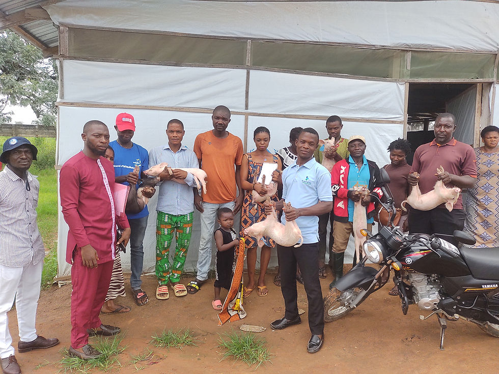 empowering Refugees at Ukende Camp with pigs (2).jpg