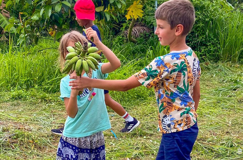 tropical-fruit-tasting-koh-samui