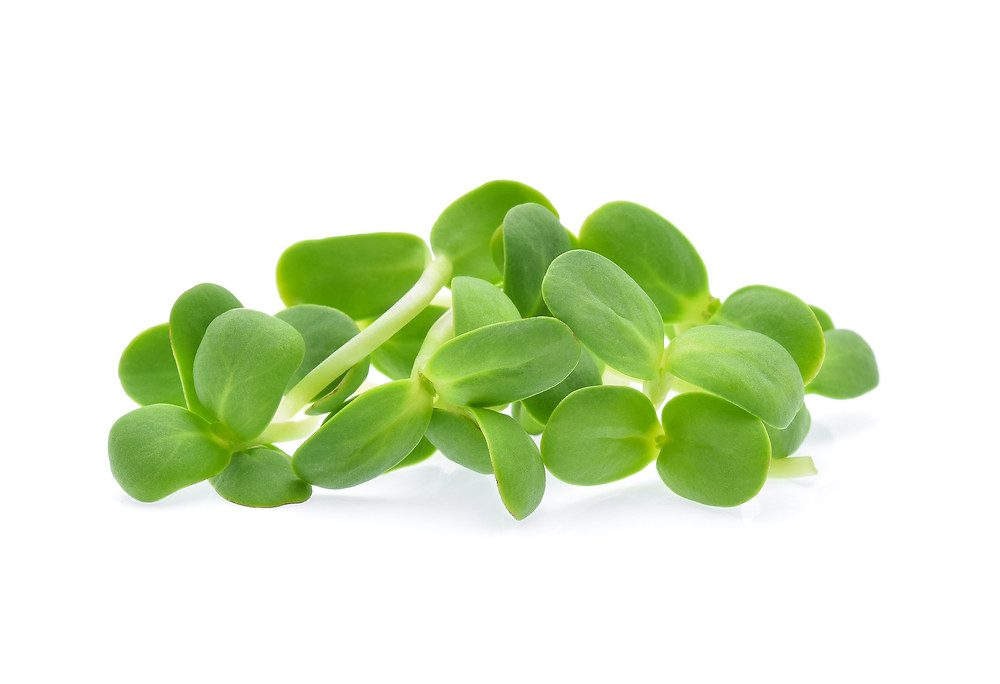 microgreens