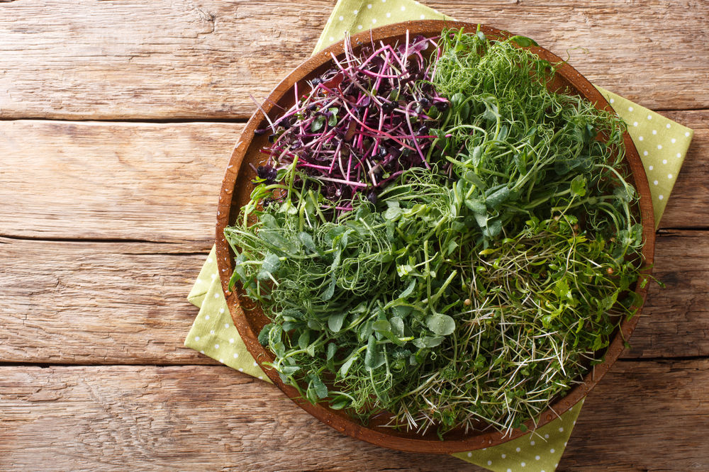 5 Microgreen Types Packed with Nutrients You Should Be Eating