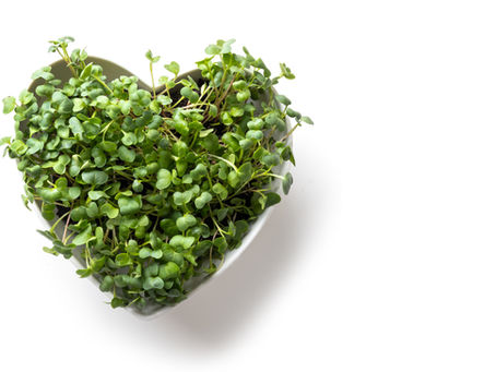 5 Microgreen Types Packed with Nutrients You Should Be Eating