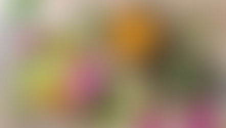 4 Common Microgreen Problems: How to Effectively Troubleshoot Them