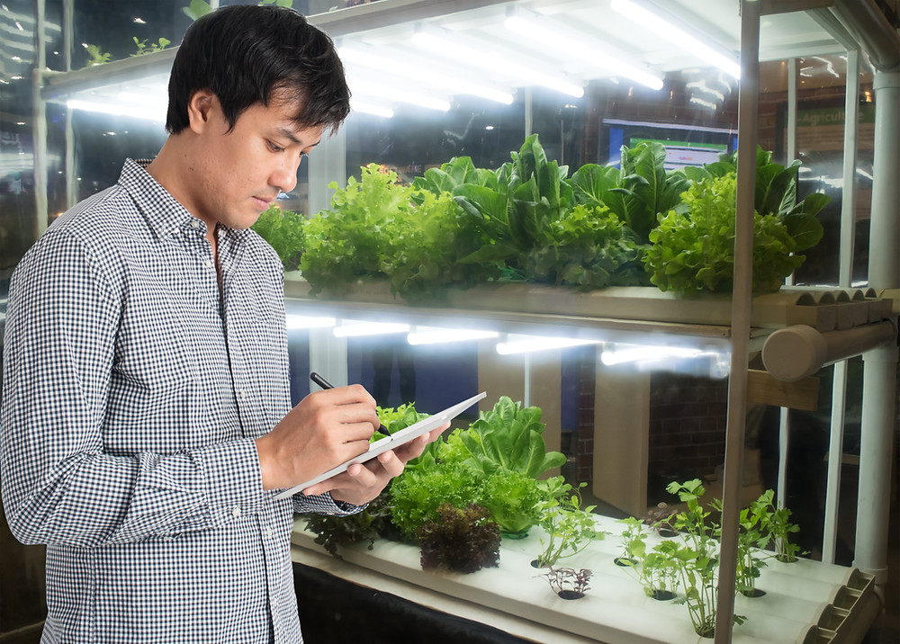 Hydroponics