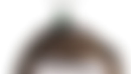 Buying seed for microgreens