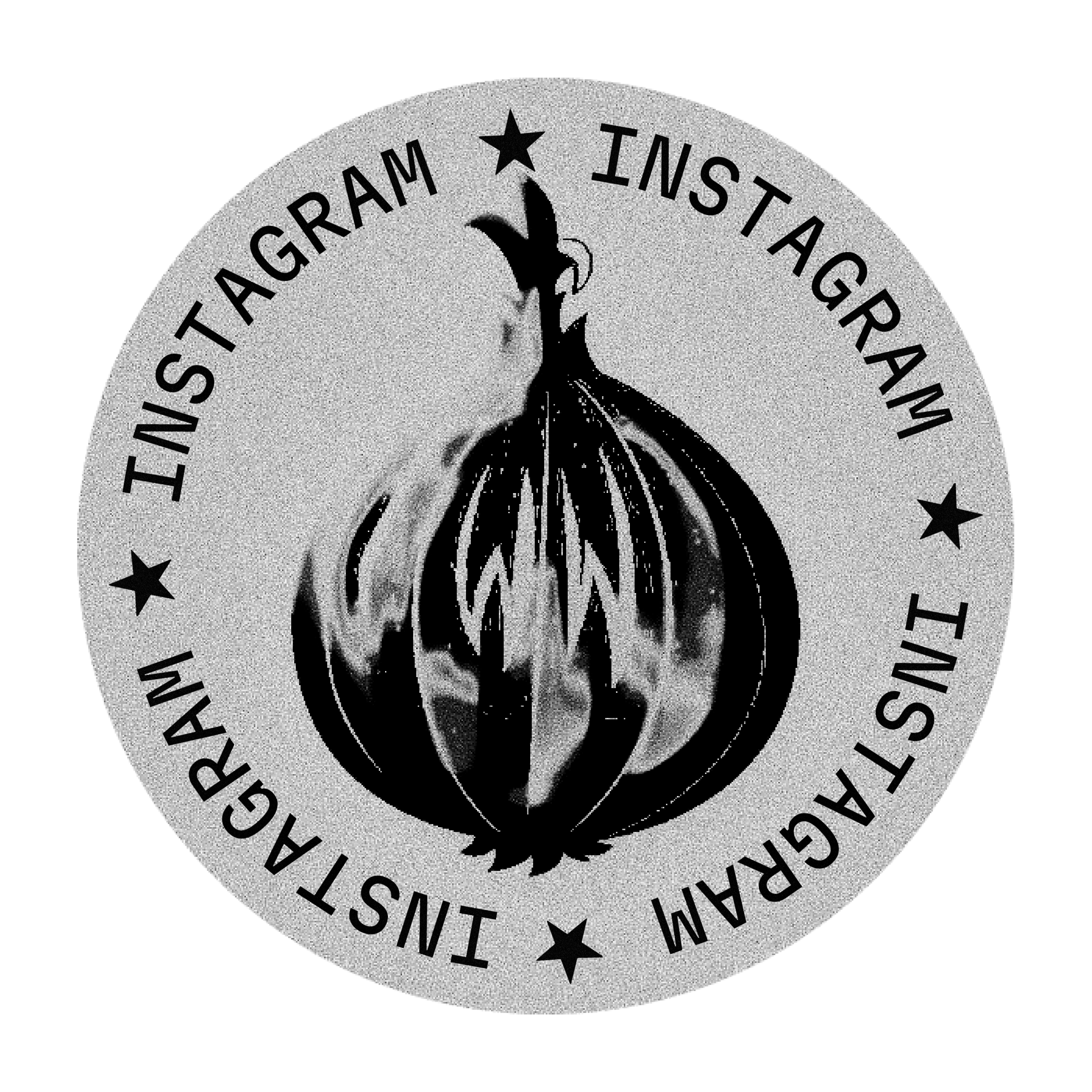 onion-insta.gif