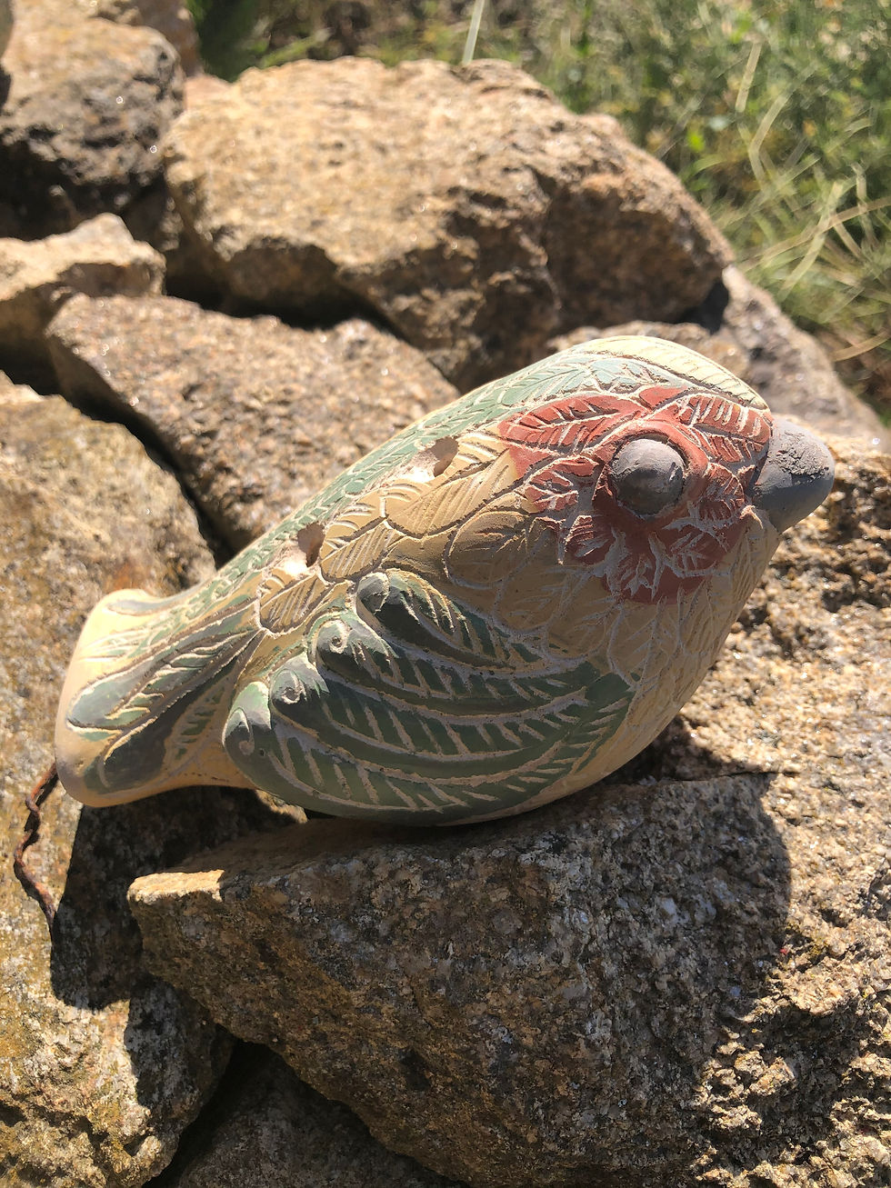 Oiseau couleur pentatonik